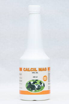 Calcil Mag oral gel