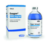 Exagon 400 mg/ml injekční roztok