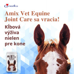 Amix Vet Equine Joint Care je možné už objednať!