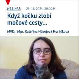 Zveme vás na webinář „Když kočku zlobí močové cesty“!