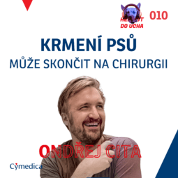 Podcast Herriot do ucha #10 - Jak hraní a krmení psů a koček může skončit na chirurgickém sále aneb co zajímavého může najít veterinář v trávicím traktu kočky nebo psa