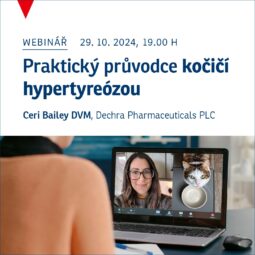 seminář Praktický průvodce kočičí hypertyreózou ceri bailey SK Cymedica