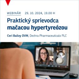 seminář Praktický průvodce kočičí hypertyreózou ceri bailey SK Cymedica