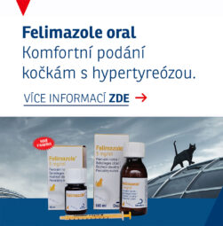 Felimazole® je nyní NOVĚ dostupný také jako perorální roztok