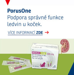 PorusONe - podpora správné funkce ledvin u koček