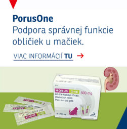 PorusONe - podpora správnej funkcie obličiek u mačiek