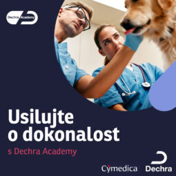 Dechra Academy