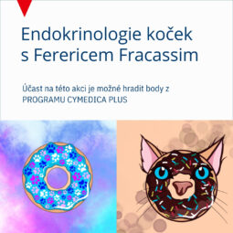 Endokrionologie koček s Federicem Fracassim