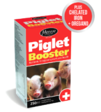 Piglet Booster