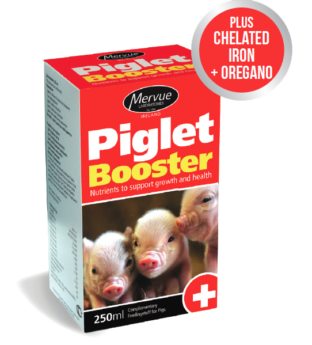 Piglet Booster