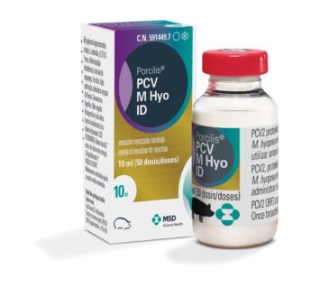 Porcilis PCV M Hyo ID injekční emulze pro prasata