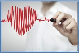 Fyziologie a patofyziologie srdce