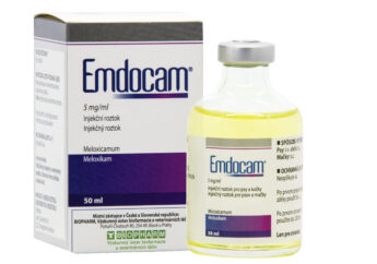 Emdocam 5 mg/ml injekční roztok pro psy a kočky