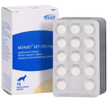 KEFAVET VET 250mg