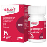 Galliprant 60 mg