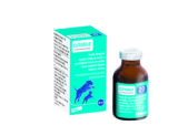 Onsior inj 20 mg/ml inj