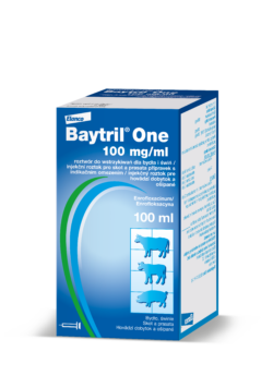 BAYTRIL One 100 mg/ml injekční roztok pro skot a prasata