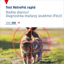 Diagnostika mačacej leukémie (FeLV)