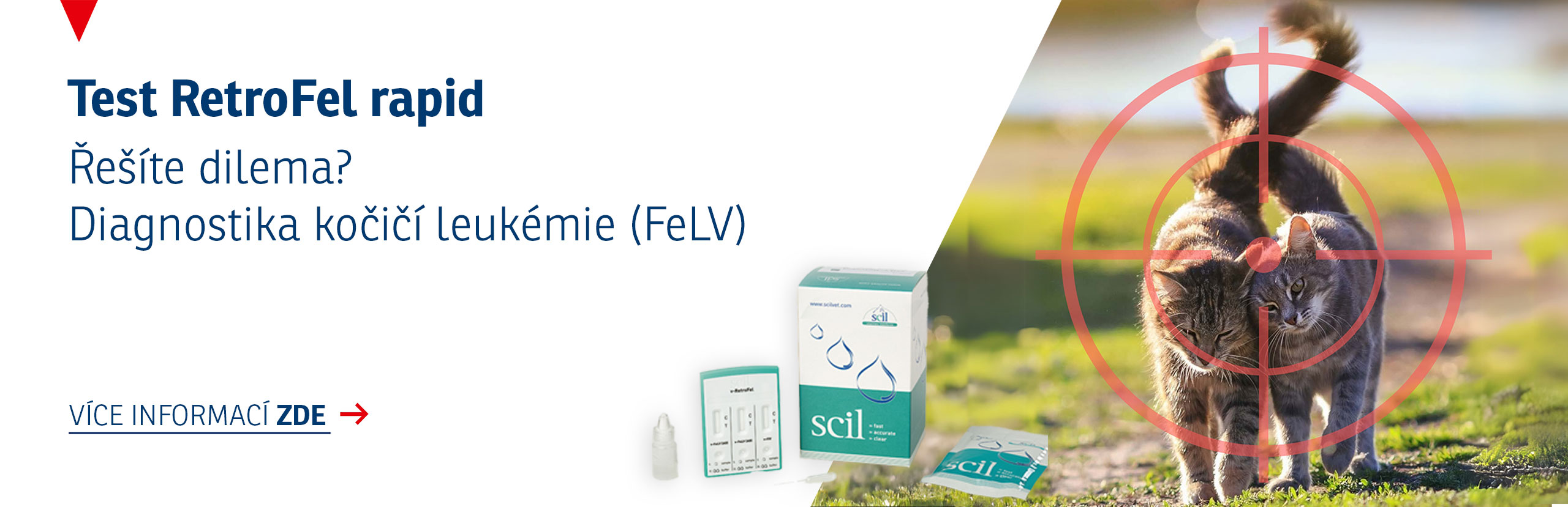 Diagnostika kočičí leukémie (FeLV)