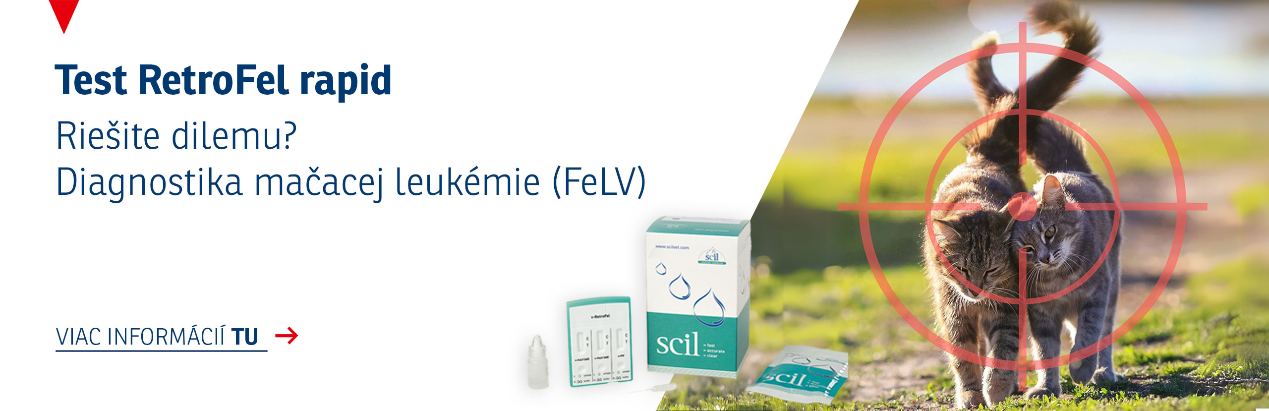 Diagnostika kočičí leukémie (FeLV) SK