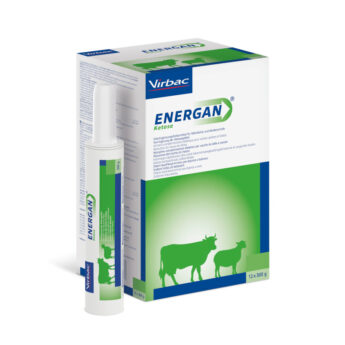 Energan Ketose