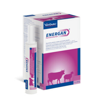 Energan Pansenstarter