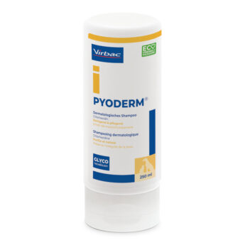 Pyoderm