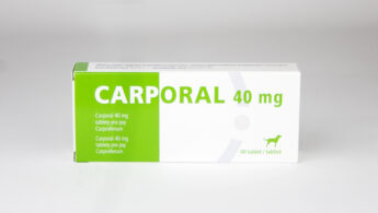 Carporal 40 mg (karprofen pro psy)