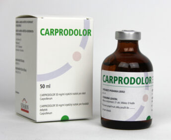 Carprodolor 50.0 mg/ml, injekční roztok pro skot