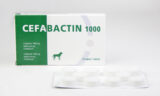 Cefabactin 1000 mg, tableta