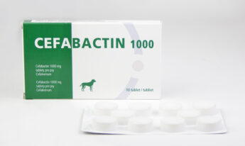Cefabactin 1000 mg, tableta