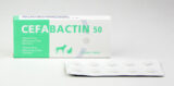 Cefabactin 50 mg, tableta