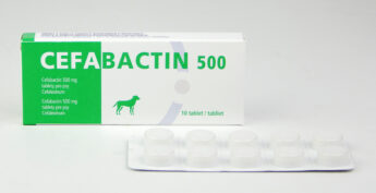 Cefabactin 500 mg, tableta