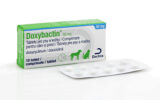 Doxybactin 50 mg, tableta