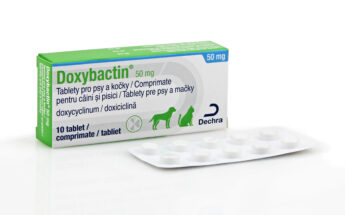 Doxybactin 50 mg, tableta