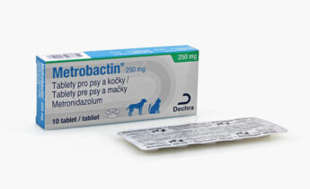 Metrobactin 250 mg (metronidazol)